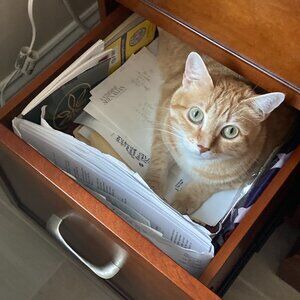 Tax time! Where is that receipt?